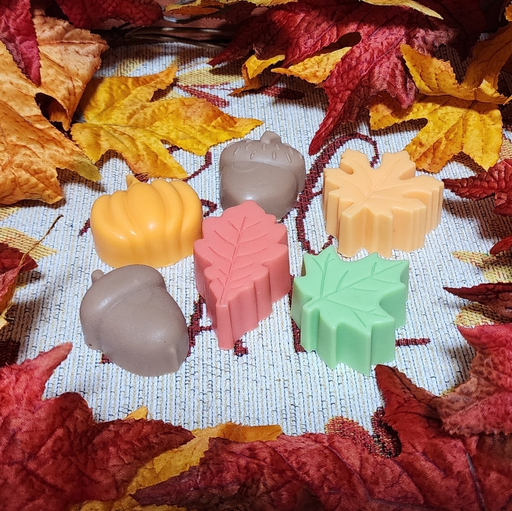 Handcrafted Fall Scented (6-Pack) Soap Bars - Gift